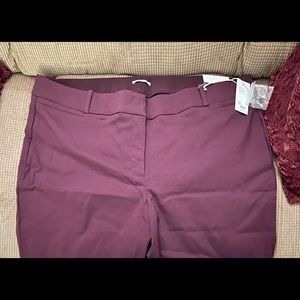 Size 26 Lane Bryant Allie Sexy Stretch Pants NWT. Color is called Winetasting